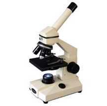 Microscope