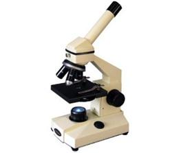 Live Blood Analysis